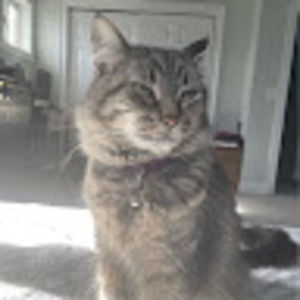 Meet your Posher, Gianna